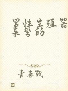 男性生殖器硬起来弯的