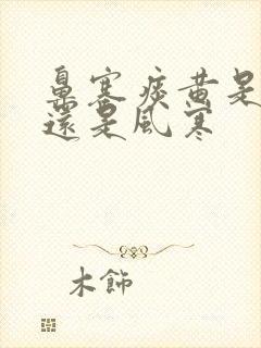 鼻塞痰黄是风热还是风寒