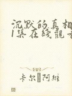 沉默的真相第11集在线观看