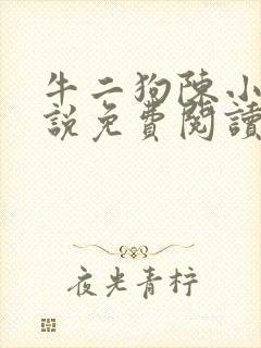 牛二狗陈小燕小说免费阅读无弹窗
