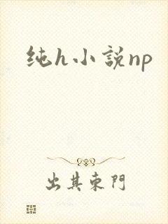 纯h小说np