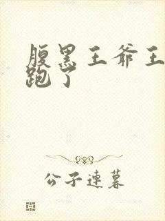 腹黑王爷王妃又跑了