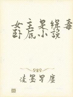 女主是缉毒警察卧底小说