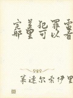 完美犯罪电视剧哪里可以看