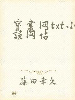宝书网txt小说网站