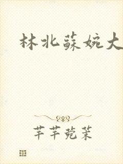 林北苏婉大结局