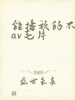 能播放的不卡的av毛片