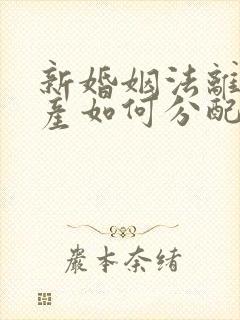 新婚姻法离婚财产如何分配