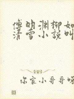 傅明渊柳如嫣林清雪小说叫什么名字