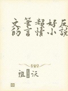 文笔超好反复看的言情小说