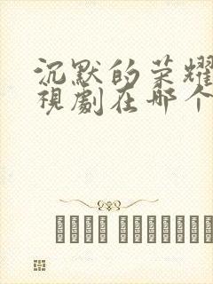 沉默的荣耀 电视剧在哪个台播出