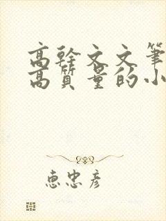 高干文文笔好的高质量的小说现代言情