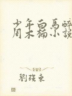 少年白马醉春风周木楠小说