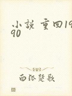 小说 重回1990