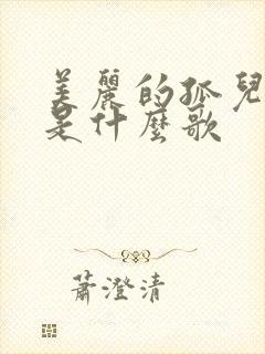 美丽的孤儿歌词是什么歌