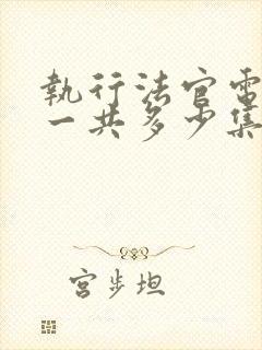 执行法官电视剧一共多少集