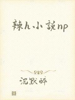 辣h小说np