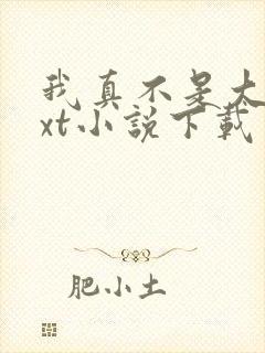 我真不是大佬txt小说下载