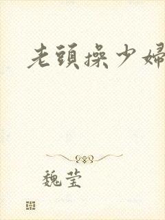 老头操少妇小说封面