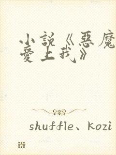 小说《恶魔少爷爱上我》