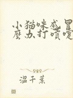 小猫咪感冒了怎么办打喷嚏流鼻涕