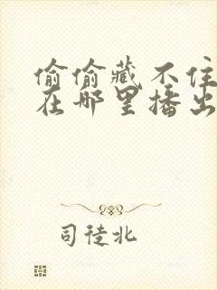 偷偷藏不住漫剧在哪里播出