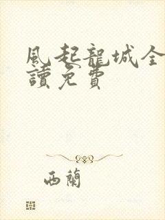 风起龙城全文阅读免费封面