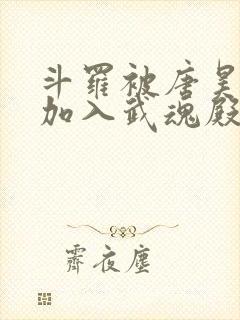 斗罗被唐昊抛弃加入武魂殿的小说