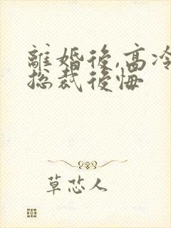 离婚后,高冷女总裁后悔