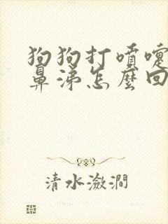 狗狗打喷嚏流黄鼻涕怎么回事