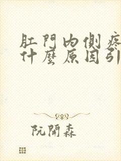 肛门内侧疼痛是什么原因引起的