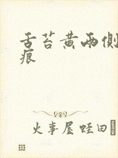 舌苔黄两侧有齿痕