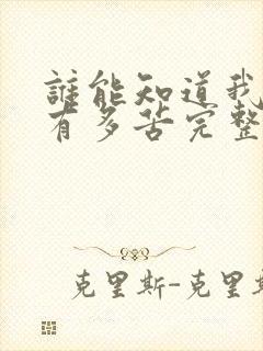 谁能知道我心里有多苦完整版