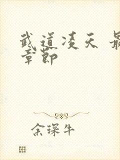 武道凌天 最新章节