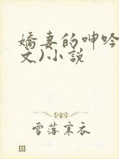 娇妻的呻吟(辣文)小说