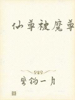 仙尊被魔尊囚禁