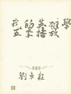 我的英雄学院第五季播放