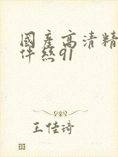 国产高清精品软件丝91