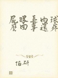 屁眼长肉球是怎么回事还疼