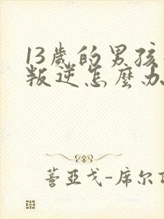 13岁的男孩子叛逆怎么办