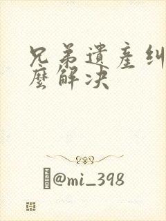 兄弟遗产纠纷怎么解决