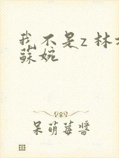 我不是z 林北苏婉