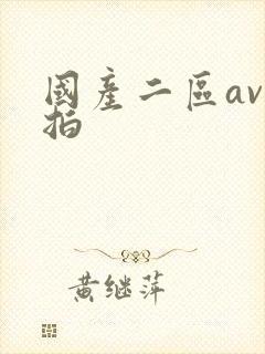 国产二区av自拍