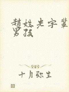 赵姓光字辈取名男孩