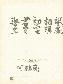 与君初相识在线免费电视剧