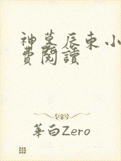 神墓辰东小说免费阅读