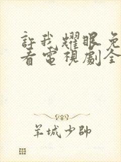 许我耀眼免费观看电视剧全集封面