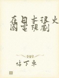 在日本很火的中国电视剧