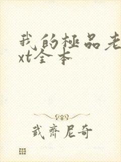 我的极品老婆txt全本