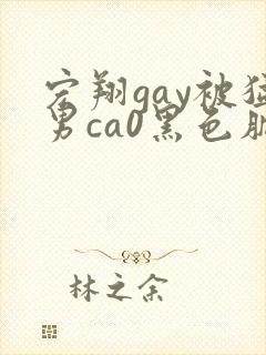 宏翔gay被猛男ca0黑色肌肉